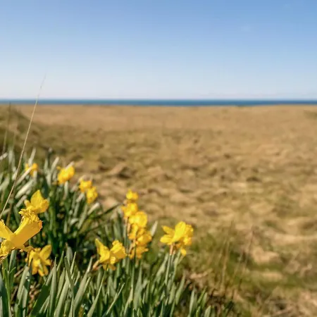 Hedy - 150m From The Sea In Nw Jutland By Interhome Holiday home Hjorring